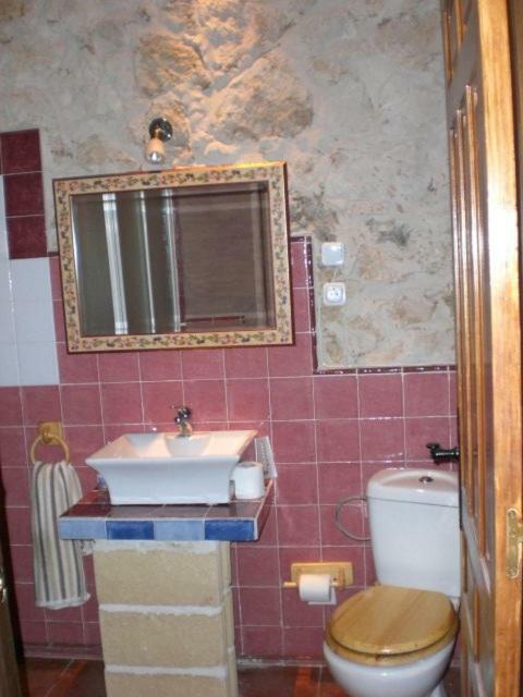 Casa Rural Casillas Del Molino-Segovia Carbonero de Ahusin Екстериор снимка